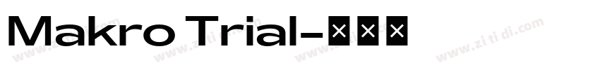 Makro Trial字体转换
